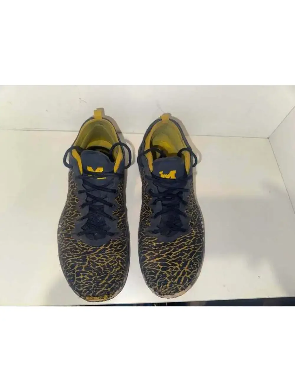 Michigan Wolverines Team Issued Jordan Trainers Elephant Print Size 12
